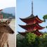 Hiroshima – île de Miyajima – Japon